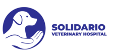 solidariovethospital.com